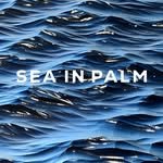 Seainpalm art