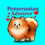 Pomeranian admirer