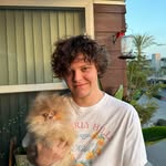 Pomeranianmiami305