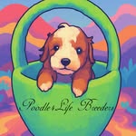 Poodle4life breeders