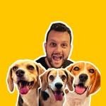 Beaglelando