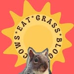 Cowseatgrassblog