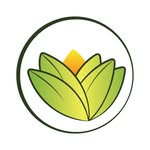Theayurvedaexperience