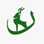 Pakistankaysath